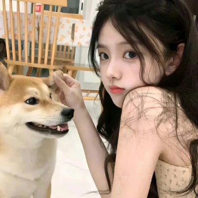 肥猫正传粤语